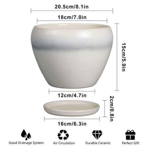 Ceramicfor maceta con plato vista superior para control de agua