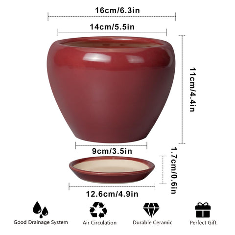 Ceramicfor maceta con platillo a juego protegiendo la superficie y recogiendo agua