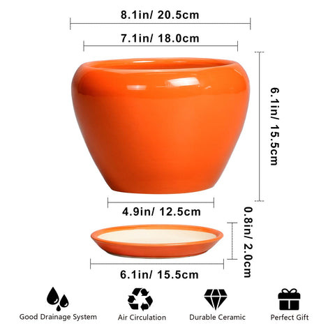 Ceramicfor maceta con plato que recoge exceso de agua para proteger superficies