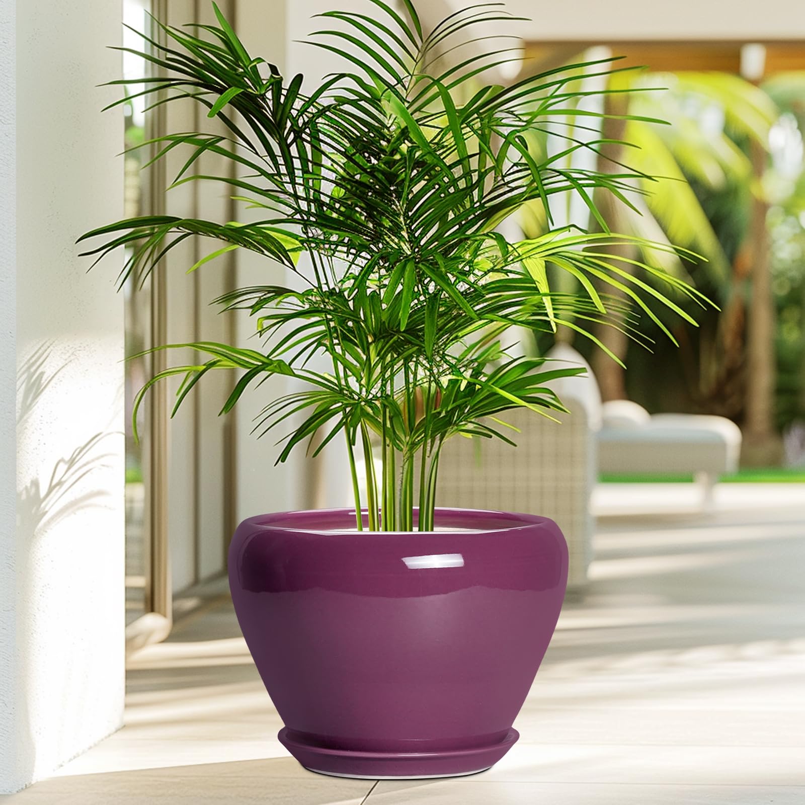 Ceramicfor maceta con suculenta en interior aporta estilo y orden