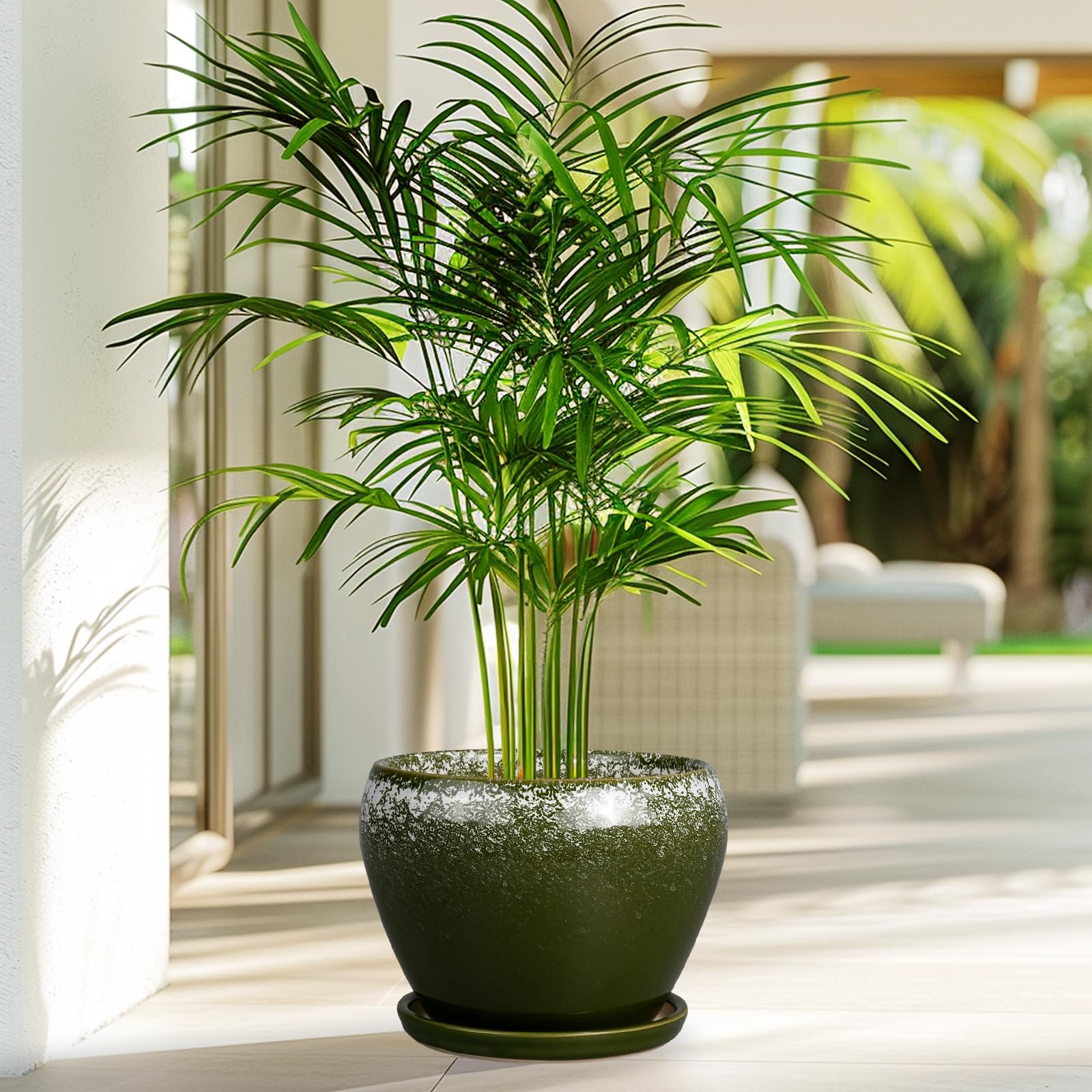 Ceramicfor maceta con suculenta en mesa, aporta decoración viva