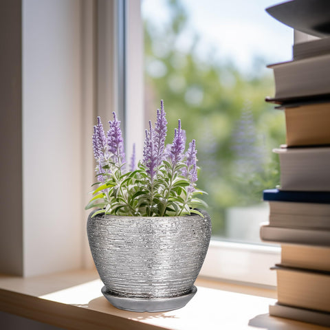 Ceramicfor maceta con suculenta ideal para decoración de interiores