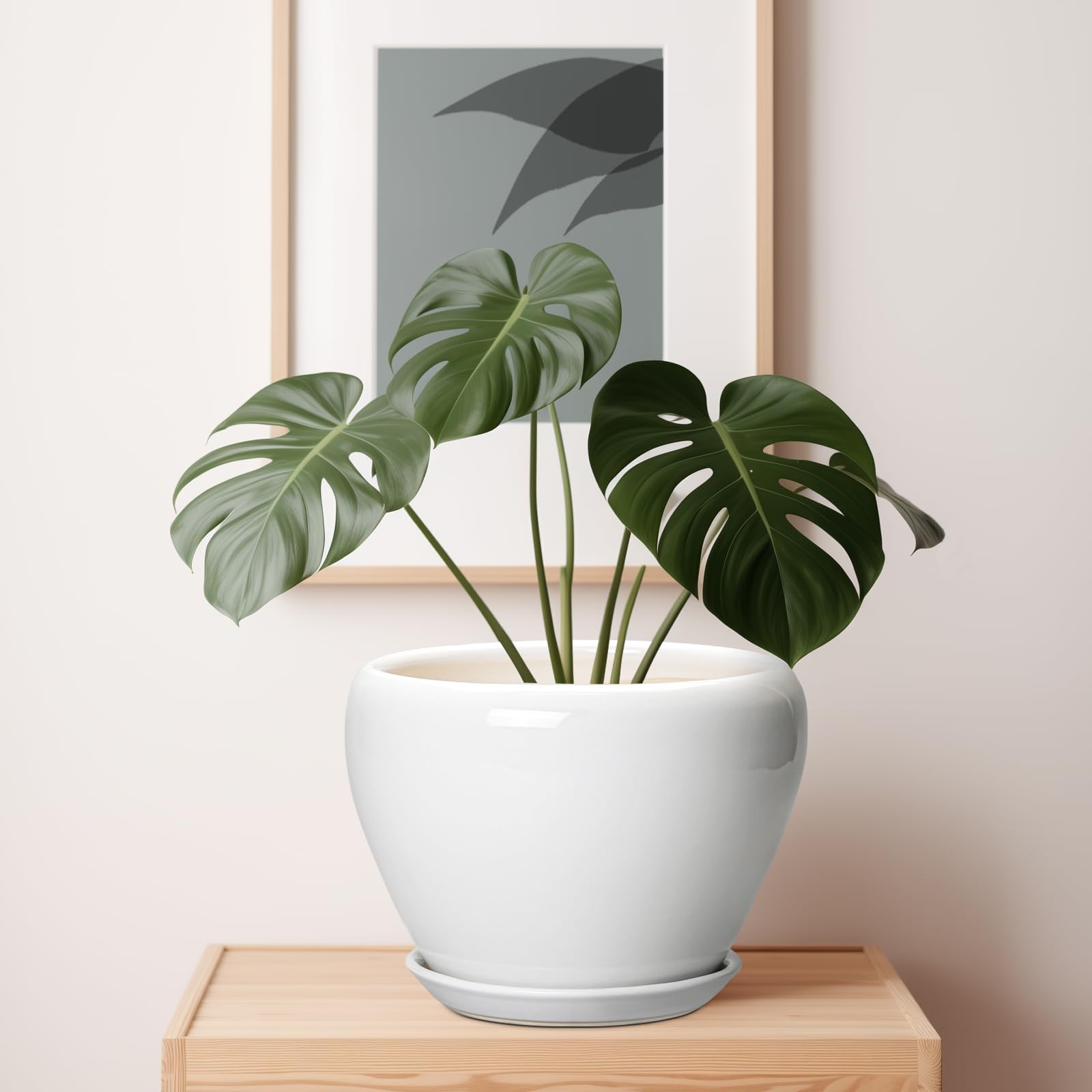 Ceramicfor maceta en estantería decorativa, aporta estilo y orden