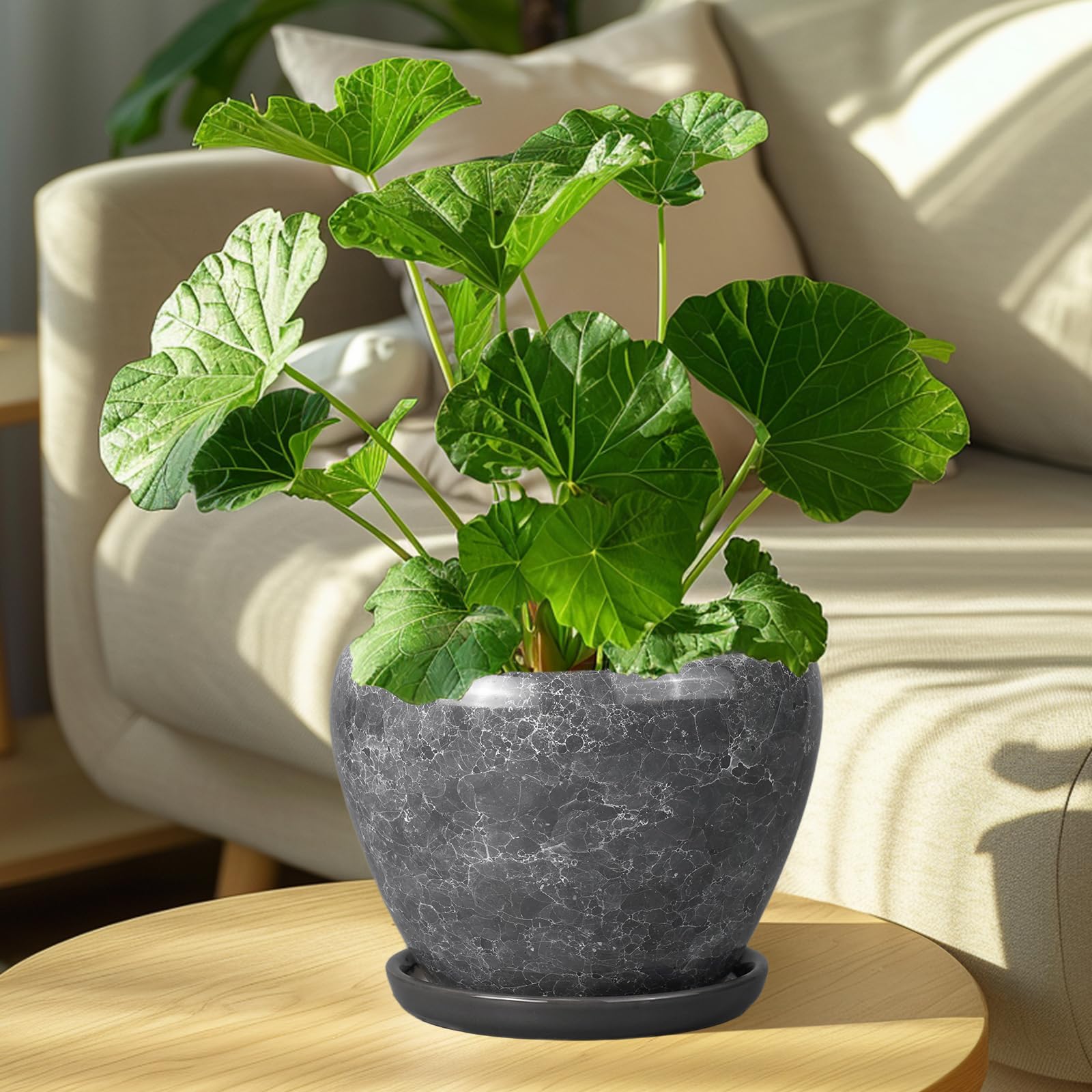Ceramicfor maceta en sala realzando plantas y decoración interior contemporánea