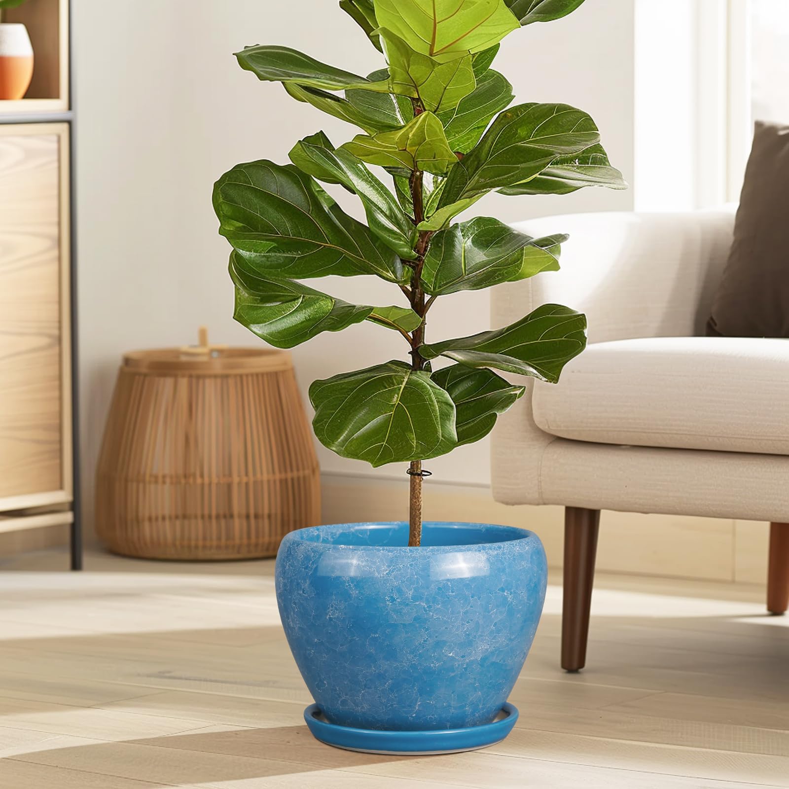 Ceramicfor maceta en uso en salón aportando color y frescura al ambiente