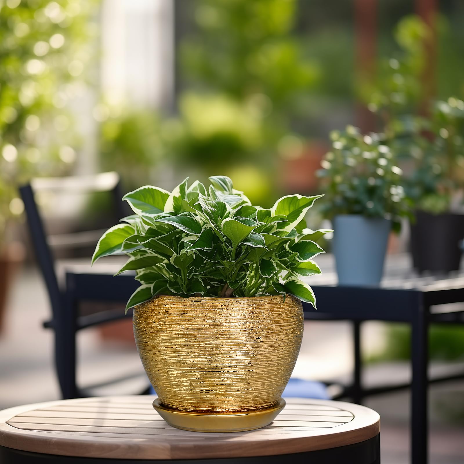 Ceramicfor maceta con suculenta plantada, solución compacta para interiores