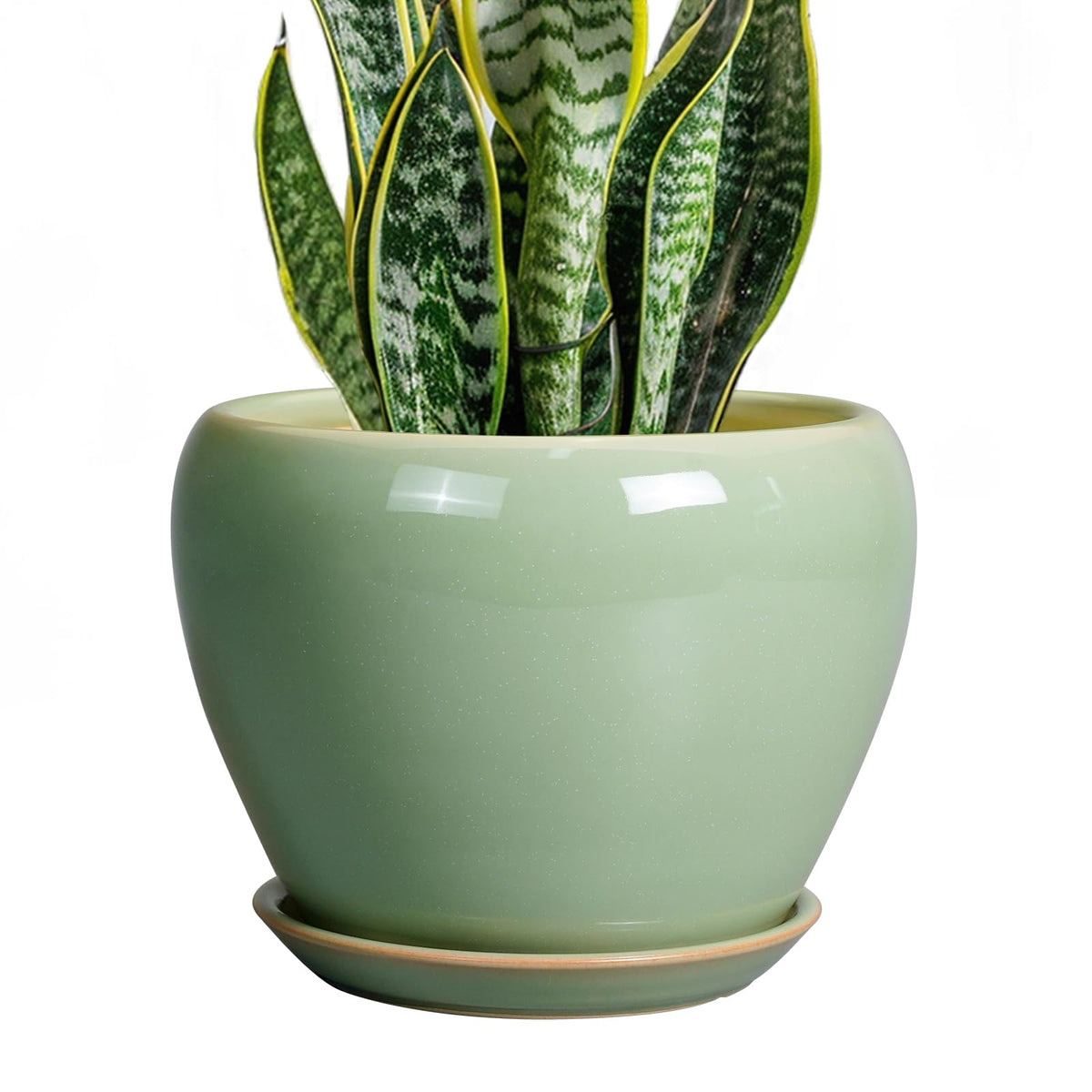 Ceramicfor maceta frontal verde mostrando diseño elegante y estabilidad