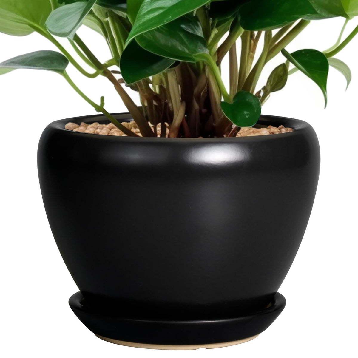 Ceramicfor maceta vista frontal, elegante y fácil de combinar