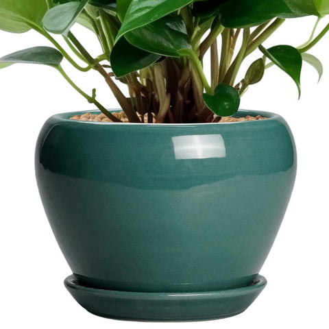 Ceramicfor maceta frontal de 6 pulgadas mostrando diseño moderno y fácil colocación