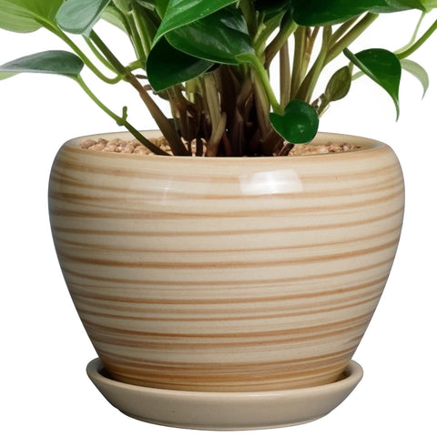 Ceramicfor vista frontal amarillo, diseño elegante y resistente
