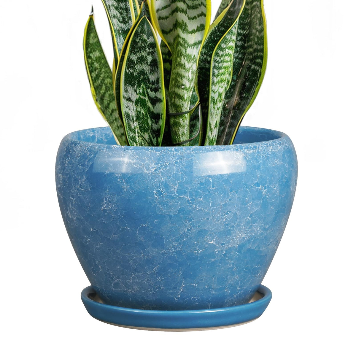 Ceramicfor maceta frontal azul mostrando diseño moderno y estabilidad