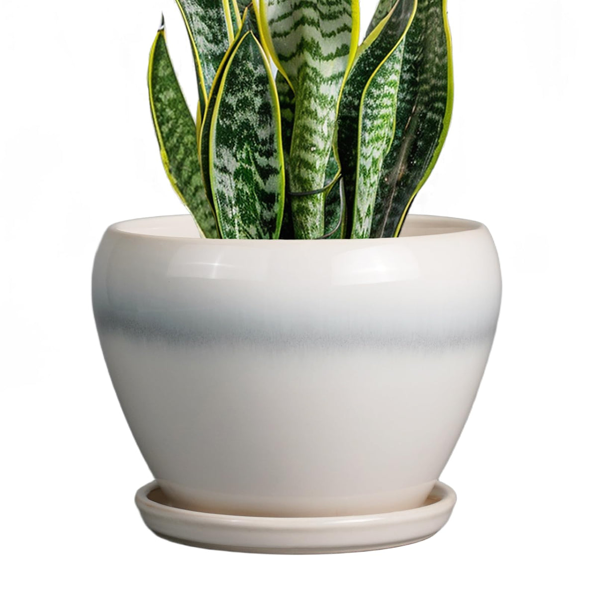 Ceramicfor maceta frontal blanca que realza plantas y espacios