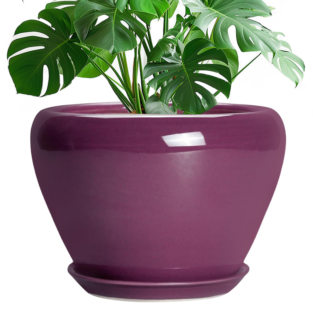 Ceramicfor maceta frontal morada mostrando diseño moderno y estabilidad
