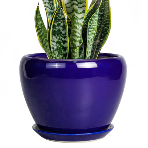 Ceramicfor maceta frontal royal blue mostrando diseño y robustez