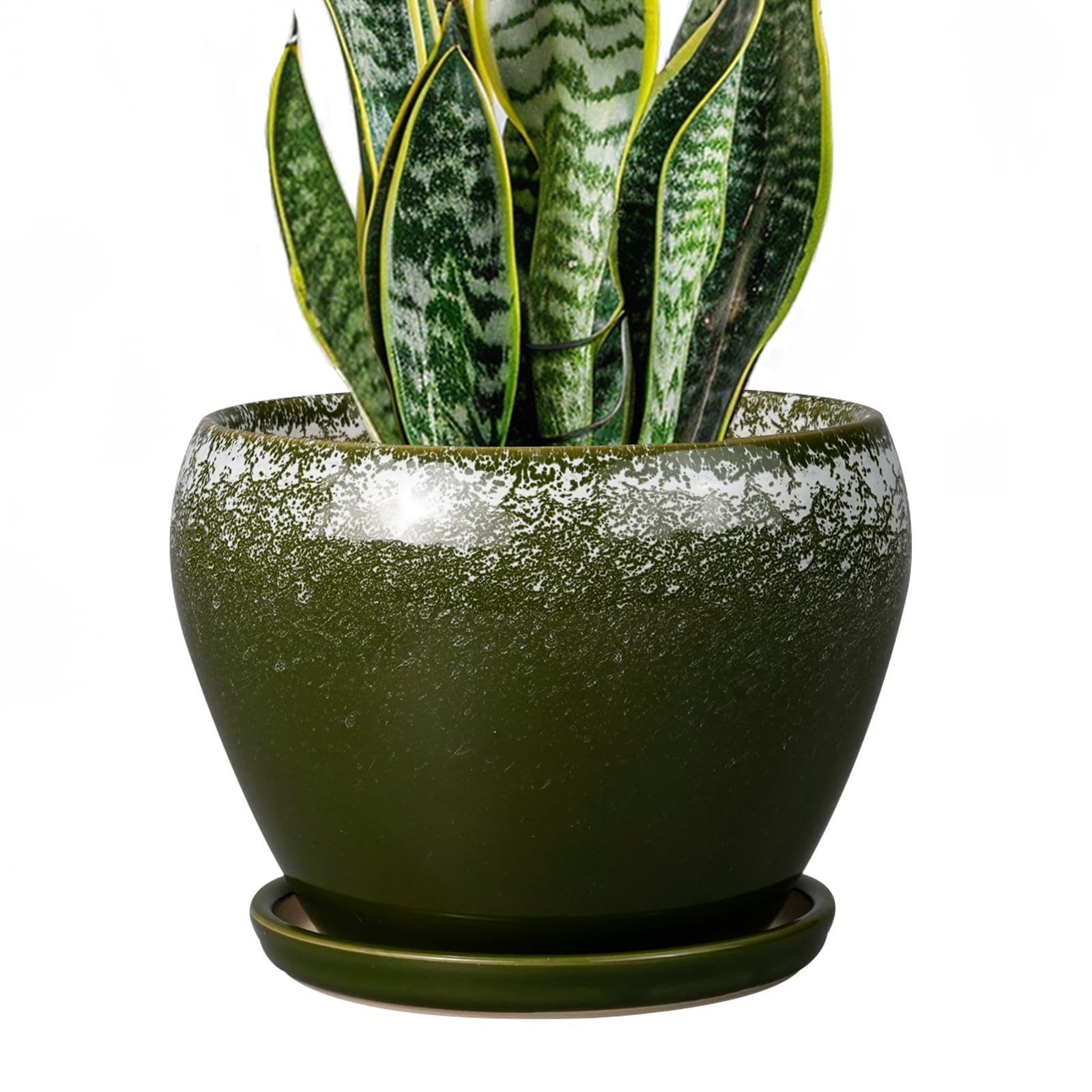 Ceramicfor maceta frontal verde oscuro, aspecto elegante y estable