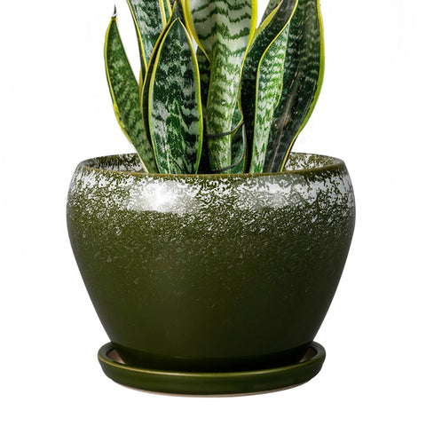 Ceramicfor maceta frontal verde oscuro, aspecto elegante y estable
