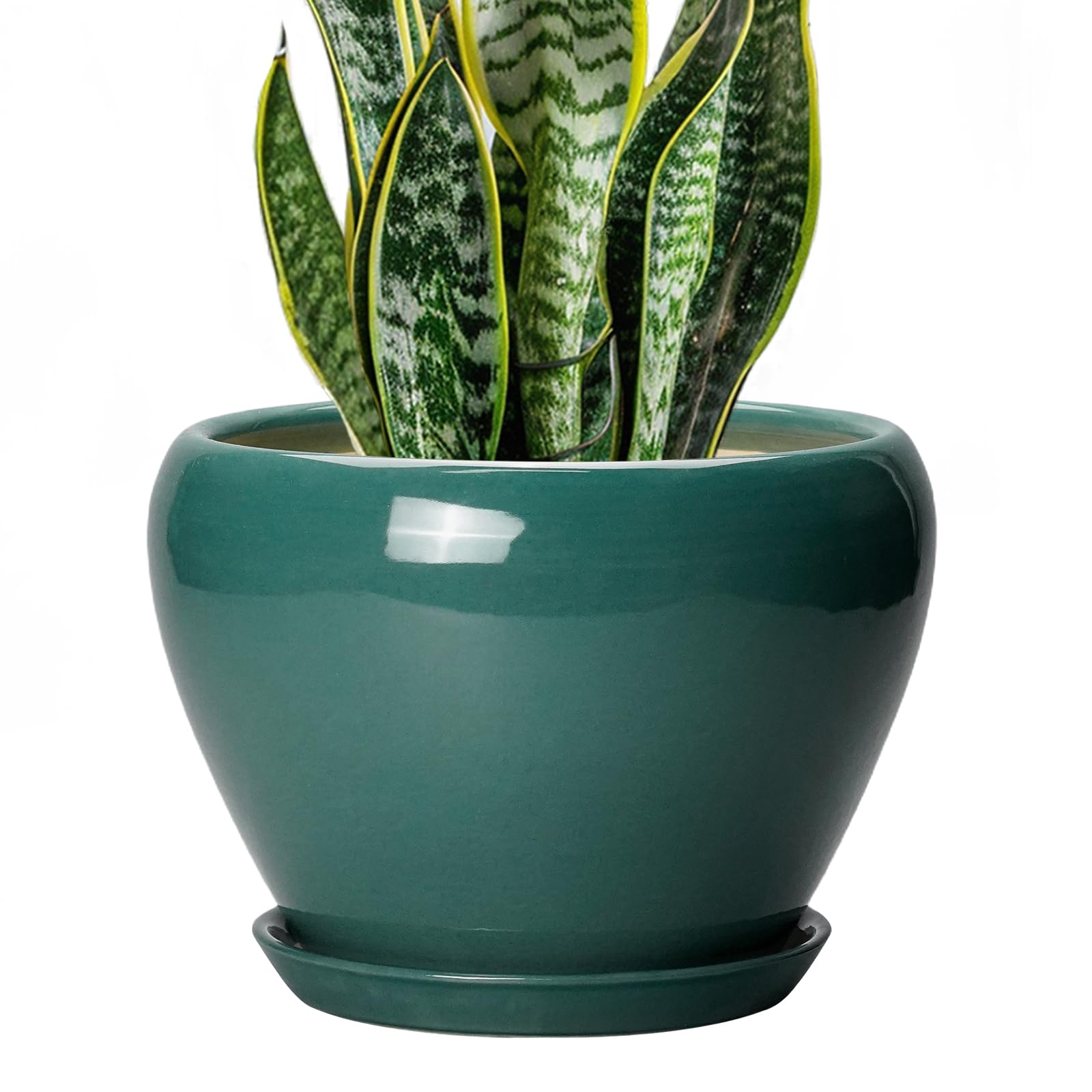 Ceramicfor maceta frontal verde que aporta estilo y estabilidad