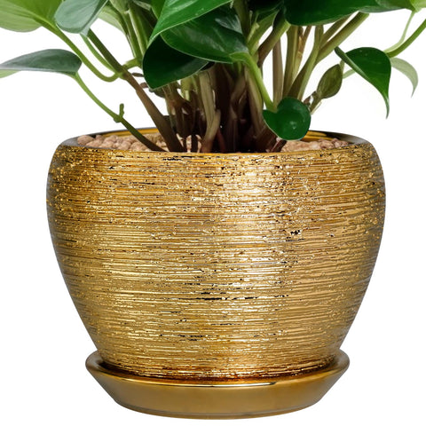 Ceramicfor vista frontal de la maceta dorada, elegante para decoración
