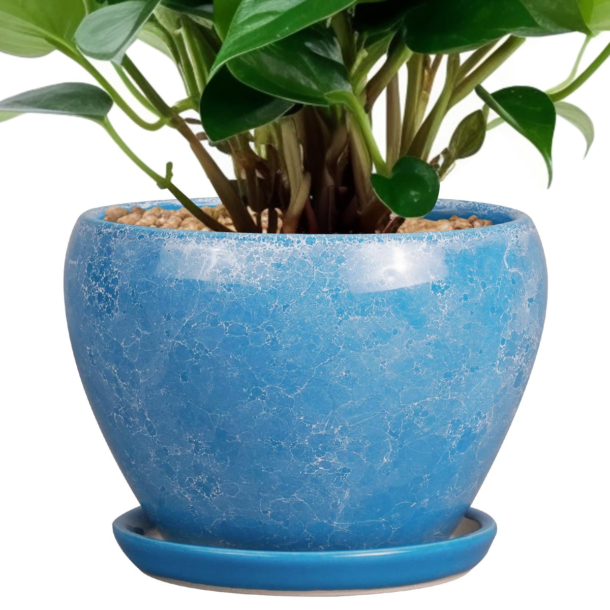 Ceramicfor vista frontal del macetero azul con acabado moderno y elegante