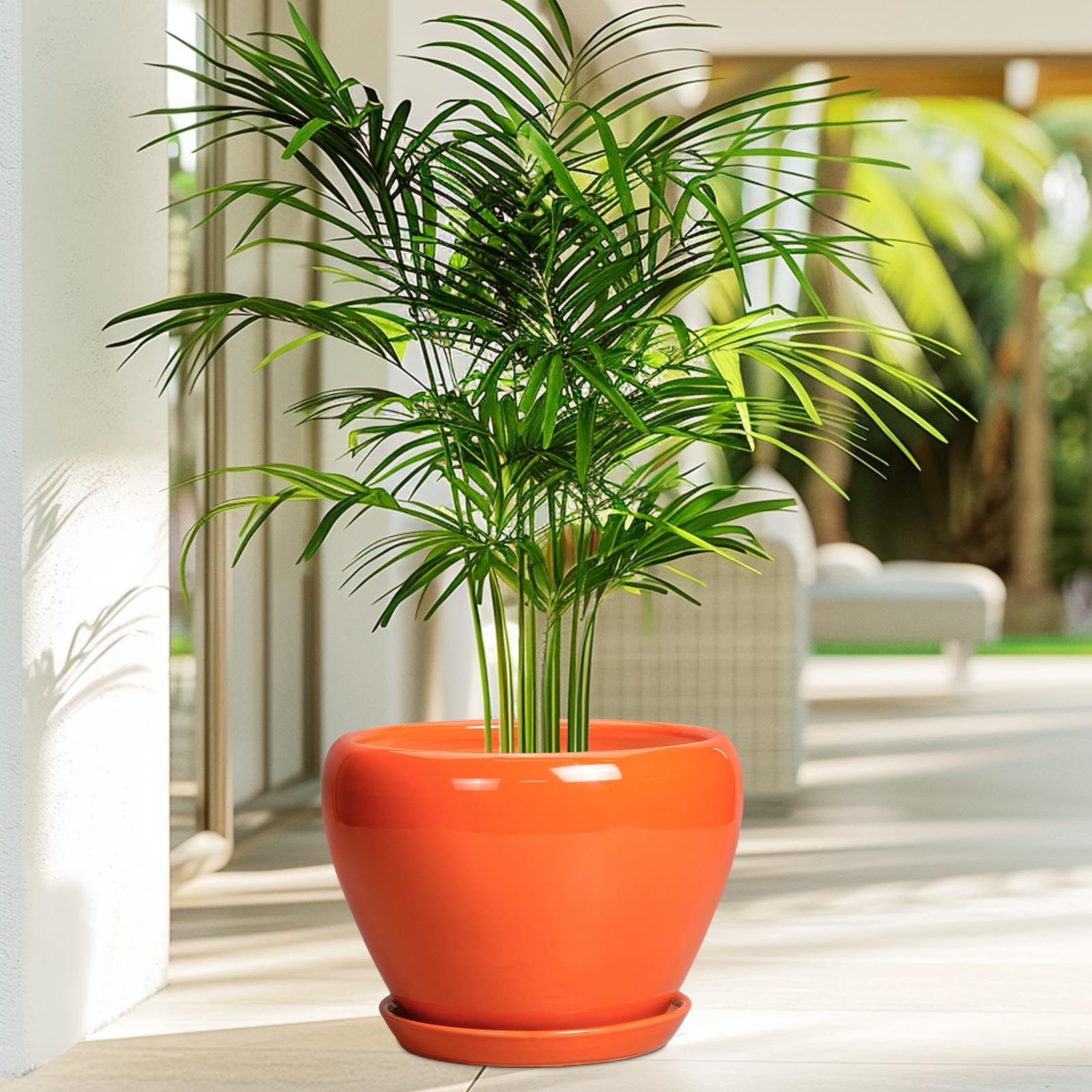 Ceramicfor maceta en uso con planta mostrando estética y funcionalidad decorativa