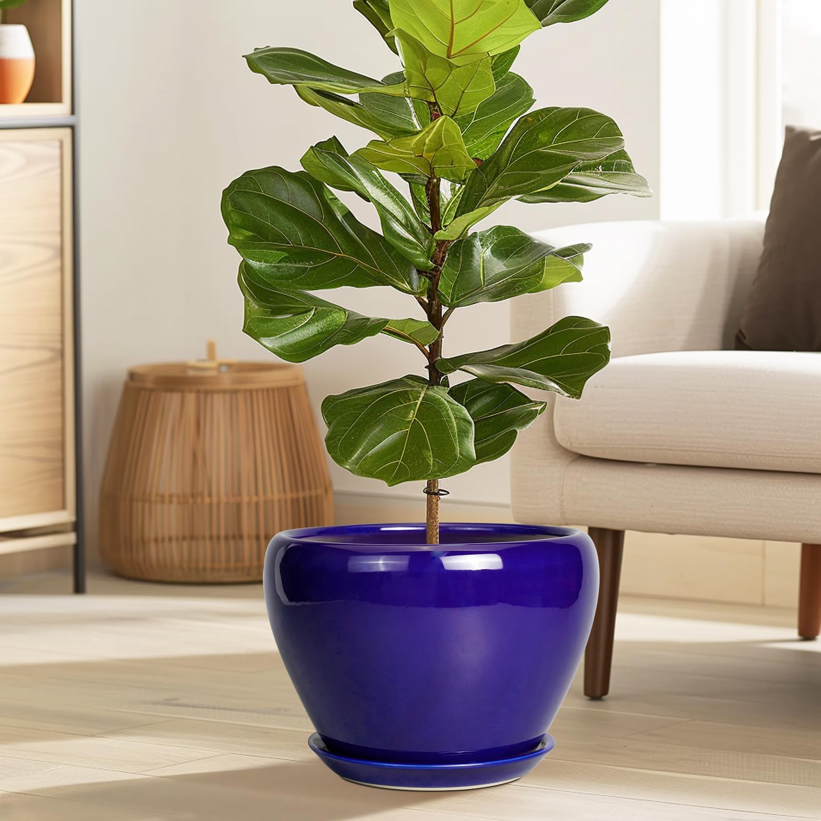 Ceramicfor vista superior con sustrato que facilita plantación segura