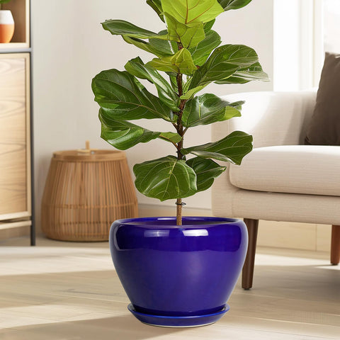 Ceramicfor vista superior con sustrato que facilita plantación segura
