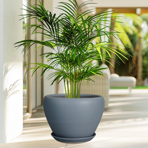 Ceramicfor macetero con planta monstera demostrando cómo luce con follaje