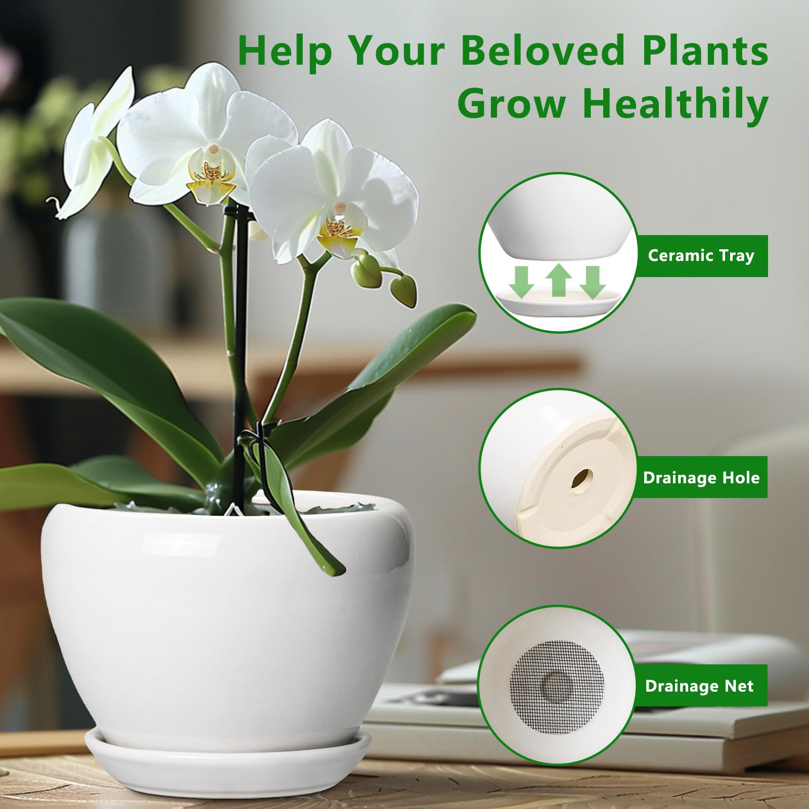 Ceramicfor vista lateral que muestra la altura y proporción