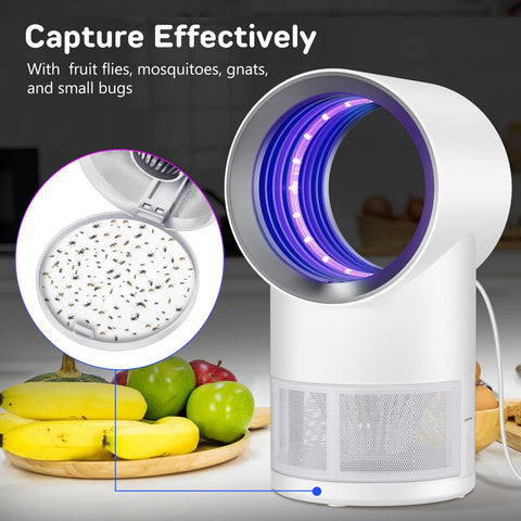 CHEER UPs trampa en uso en cocina, reduce moscas y mosquitos