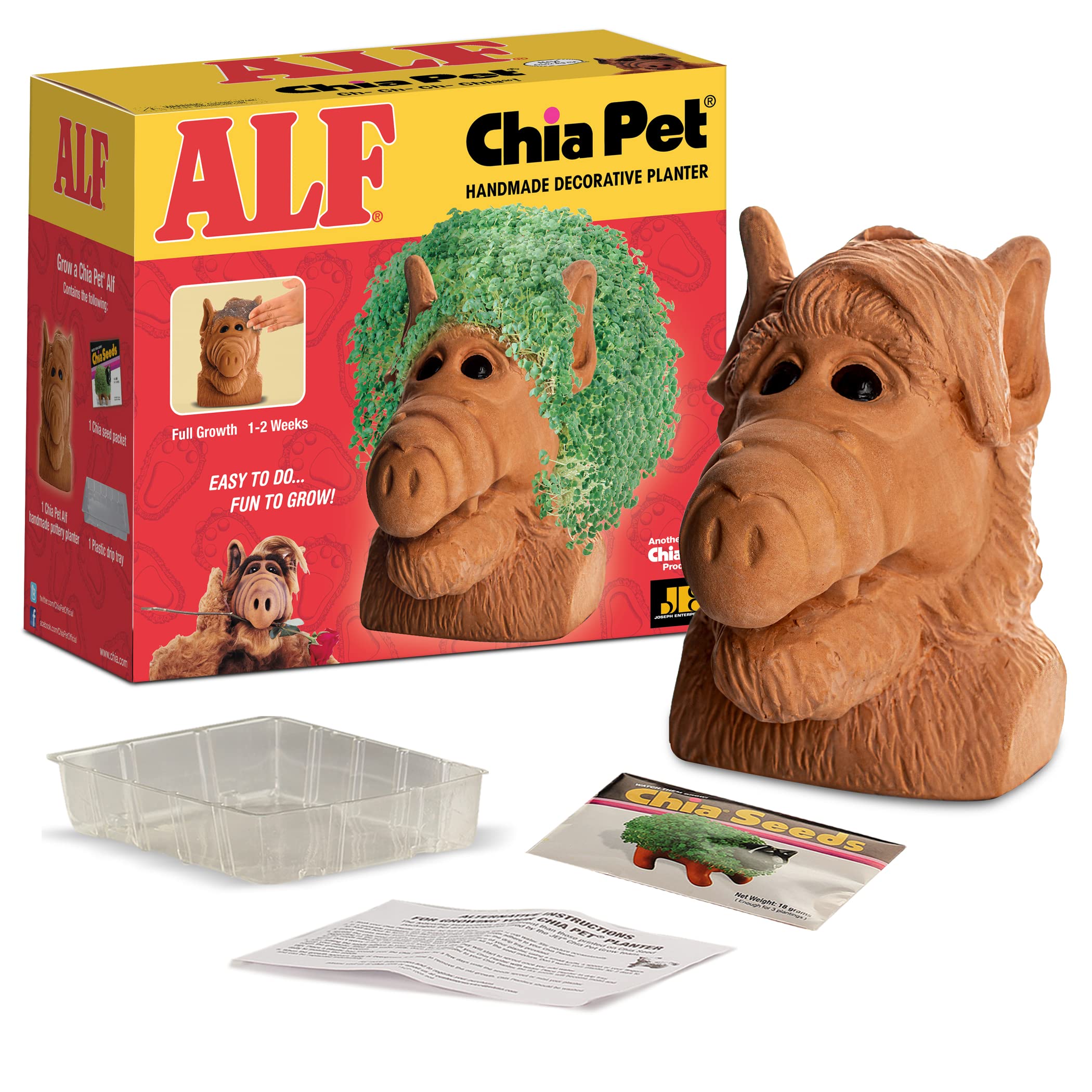 Primer plano de la textura de terracota de Chia Alf mostrando zonas para semillas