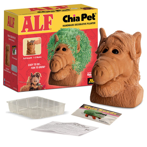 Primer plano de la textura de terracota de Chia Alf mostrando zonas para semillas