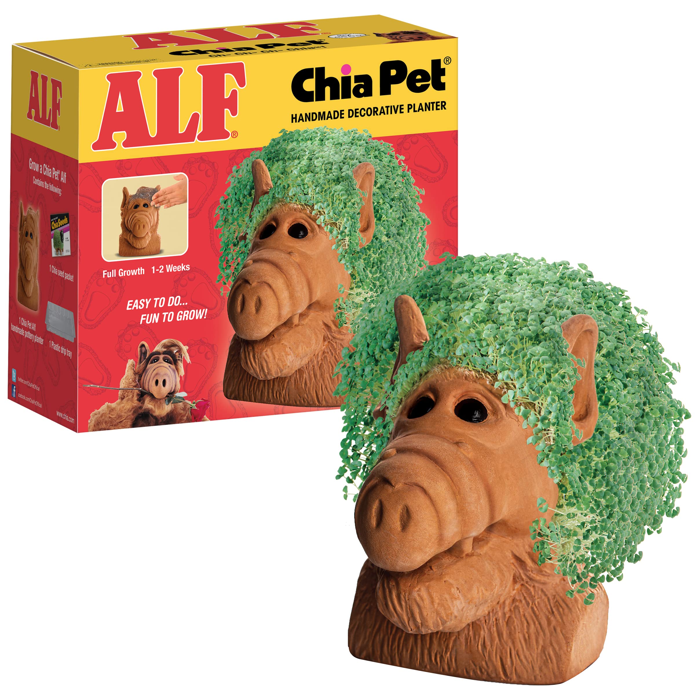 Chia Alf frontal en terracota mostrando la figura listo para sembrar con Chia