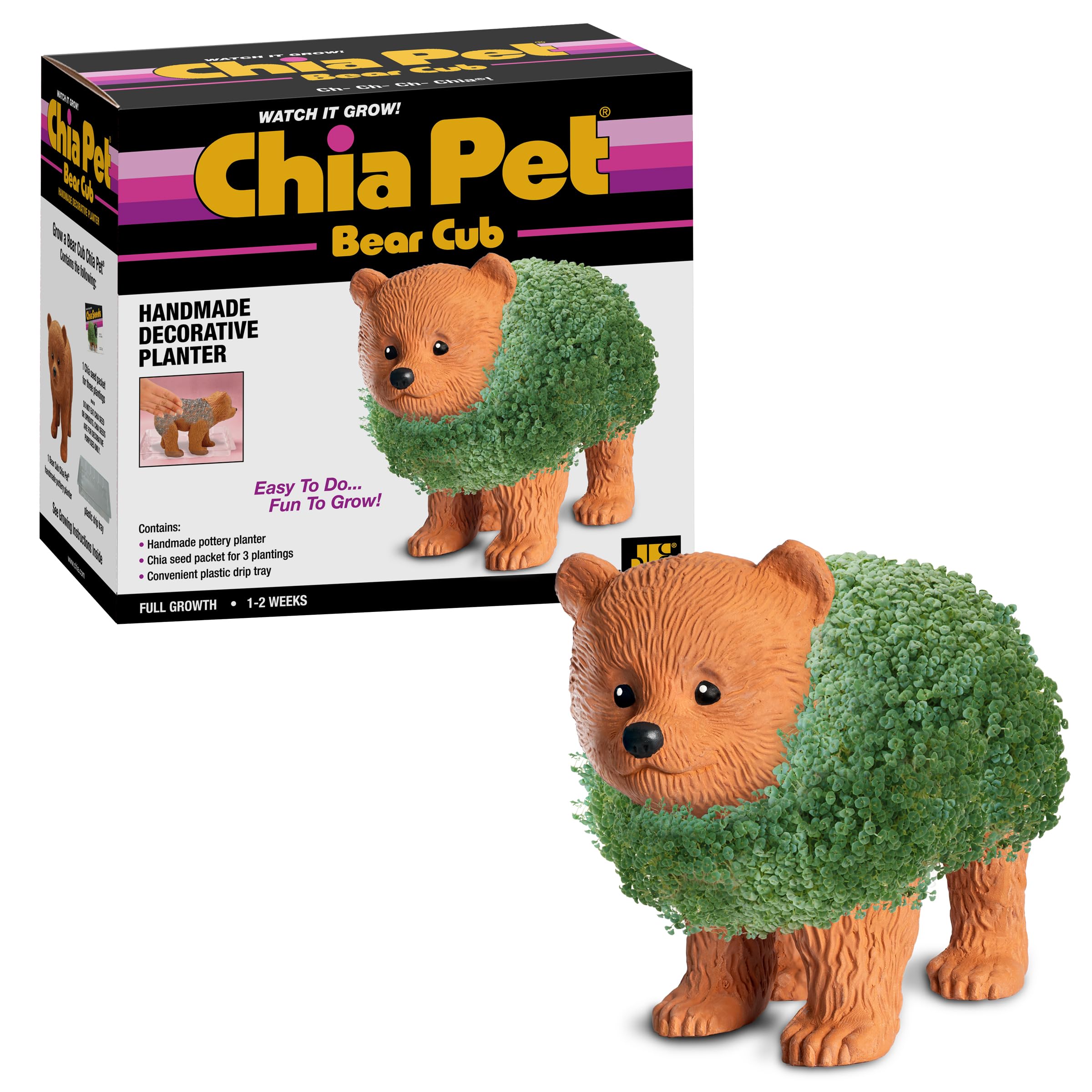 Chia Bear Cub frontal en cerámica mostrando diseño adorable y fácil cultivo