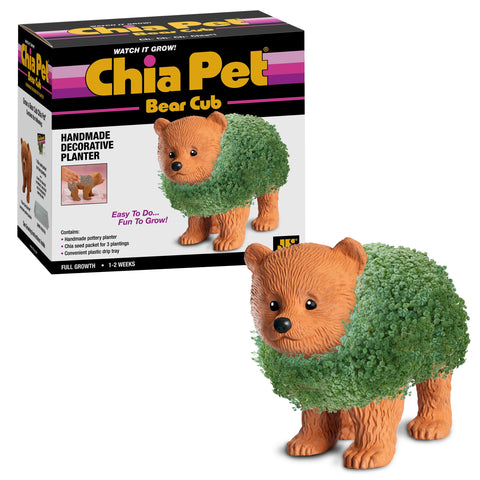 Chia Bear Cub frontal en cerámica mostrando diseño adorable y fácil cultivo