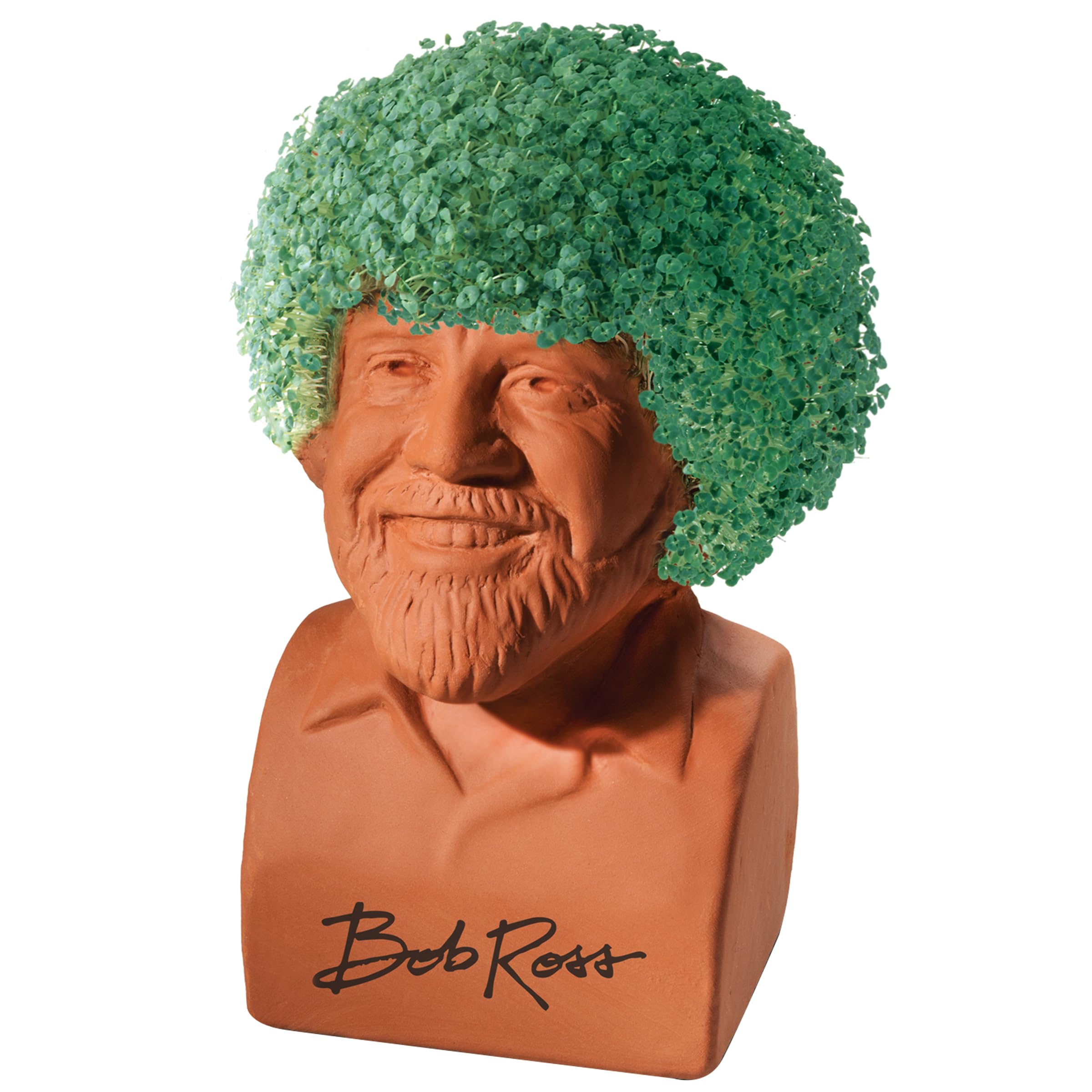 Chia Bob Ross en uso sobre mesa con brotes verdes para decoración rápida