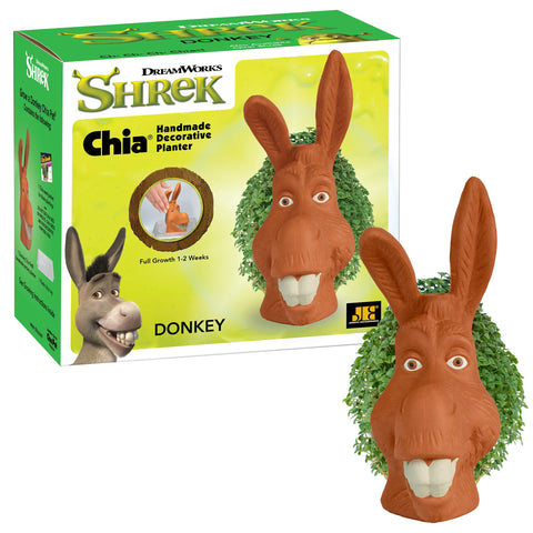 Chia burro vista frontal mostrando cerámica decorativa y facilidad de uso