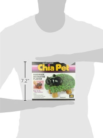 Chia Elephant en un estante decorativo mostrando cómo embellece espacios pequeños