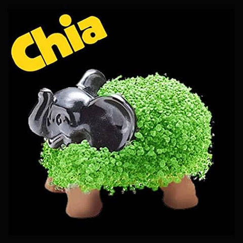 Chia Elephant con bandeja de goteo incluida de Chia para mantener superficies limpias