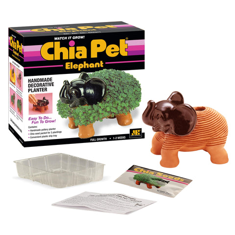 Chia Elephant en proceso de crecimiento mostrando el follaje verde y efecto decorativo
