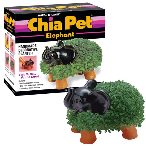 Chia Elephant vista frontal mostrando la figura de terracota y su potencial decorativo