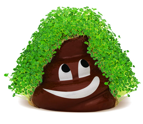 Chia emoji Poopy detalle cerámica hecha a mano que garantiza durabilidad