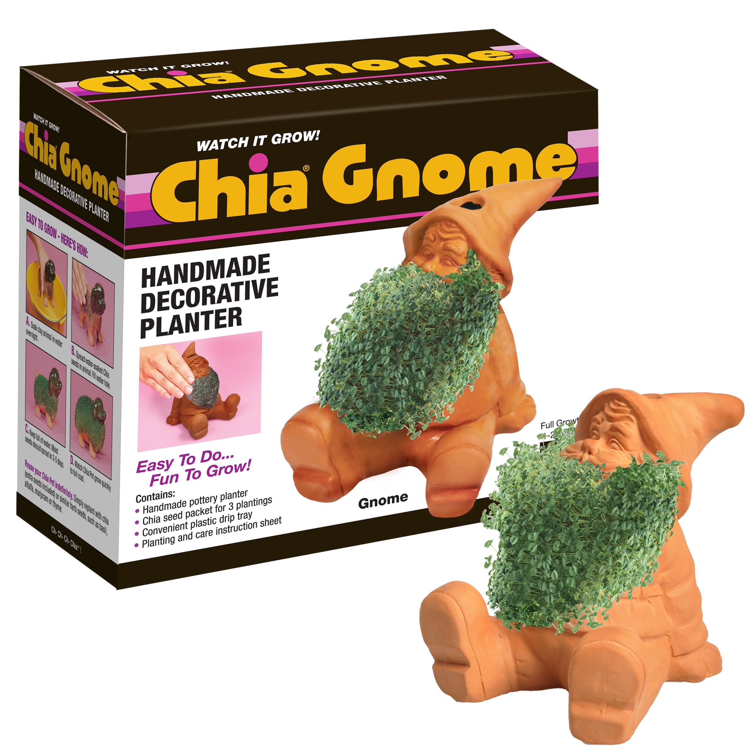 Chia gnomo vista frontal mostrando cerámica decorativa y crecimiento rápido