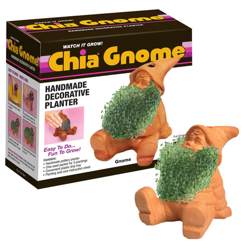 Chia gnomo vista frontal mostrando cerámica decorativa y crecimiento rápido