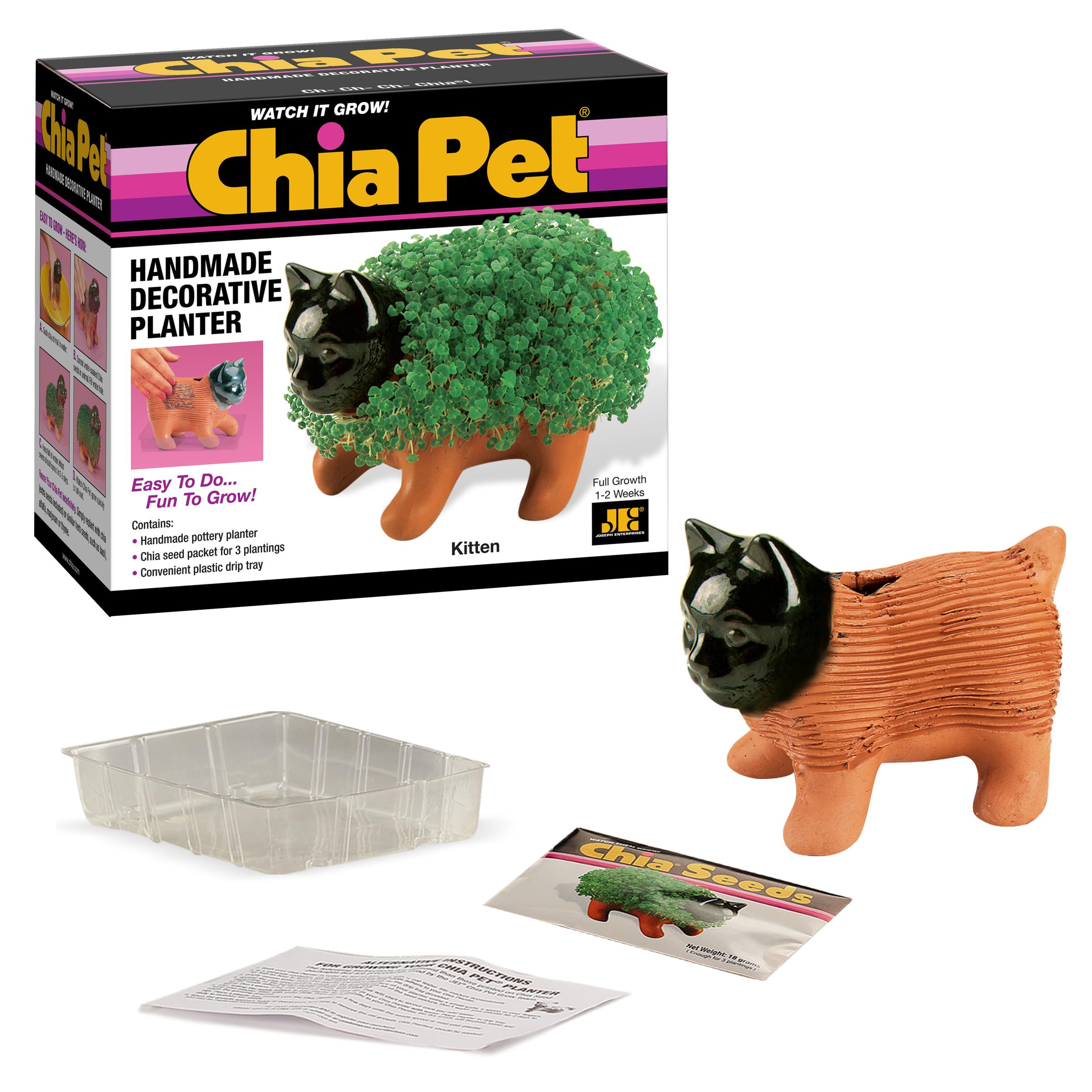 Chia Kitten comparación de tamaño con mano para ver escala y conveniencia