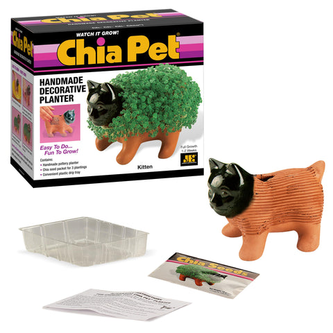 Chia Kitten comparación de tamaño con mano para ver escala y conveniencia
