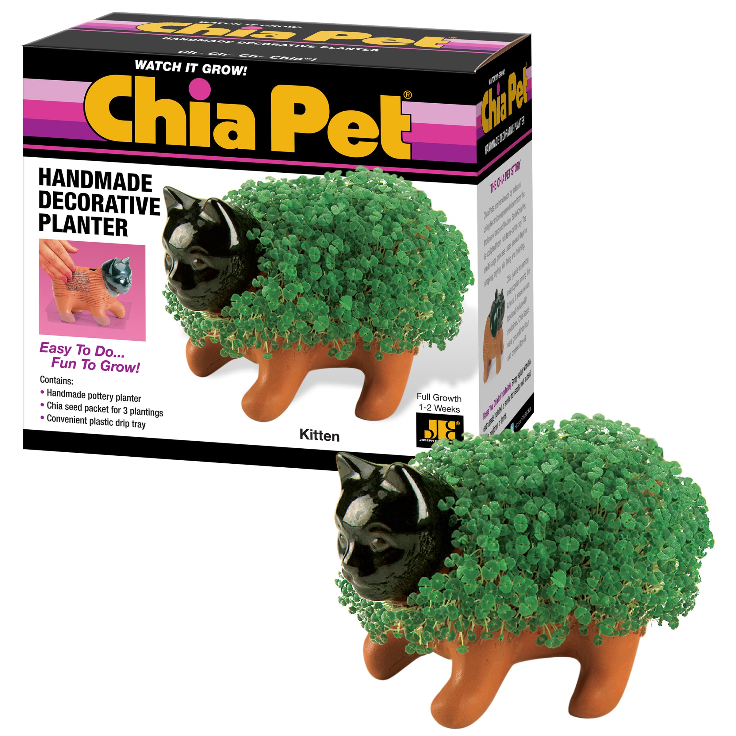 Chia Kitten vista frontal con maceta de terracota mostrando diseño y facilidad