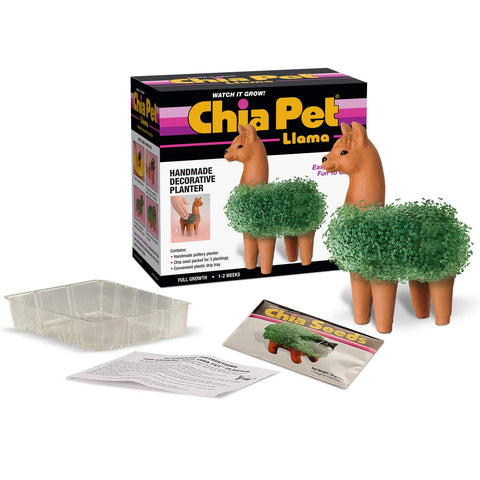 Chia detalle de semillas y textura en la superficie para fácil germinación