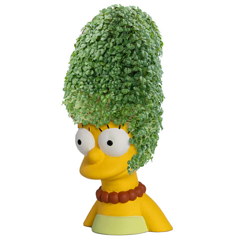 Chia Marge en uso con brotes verdes destacando diversión y resultado rápido