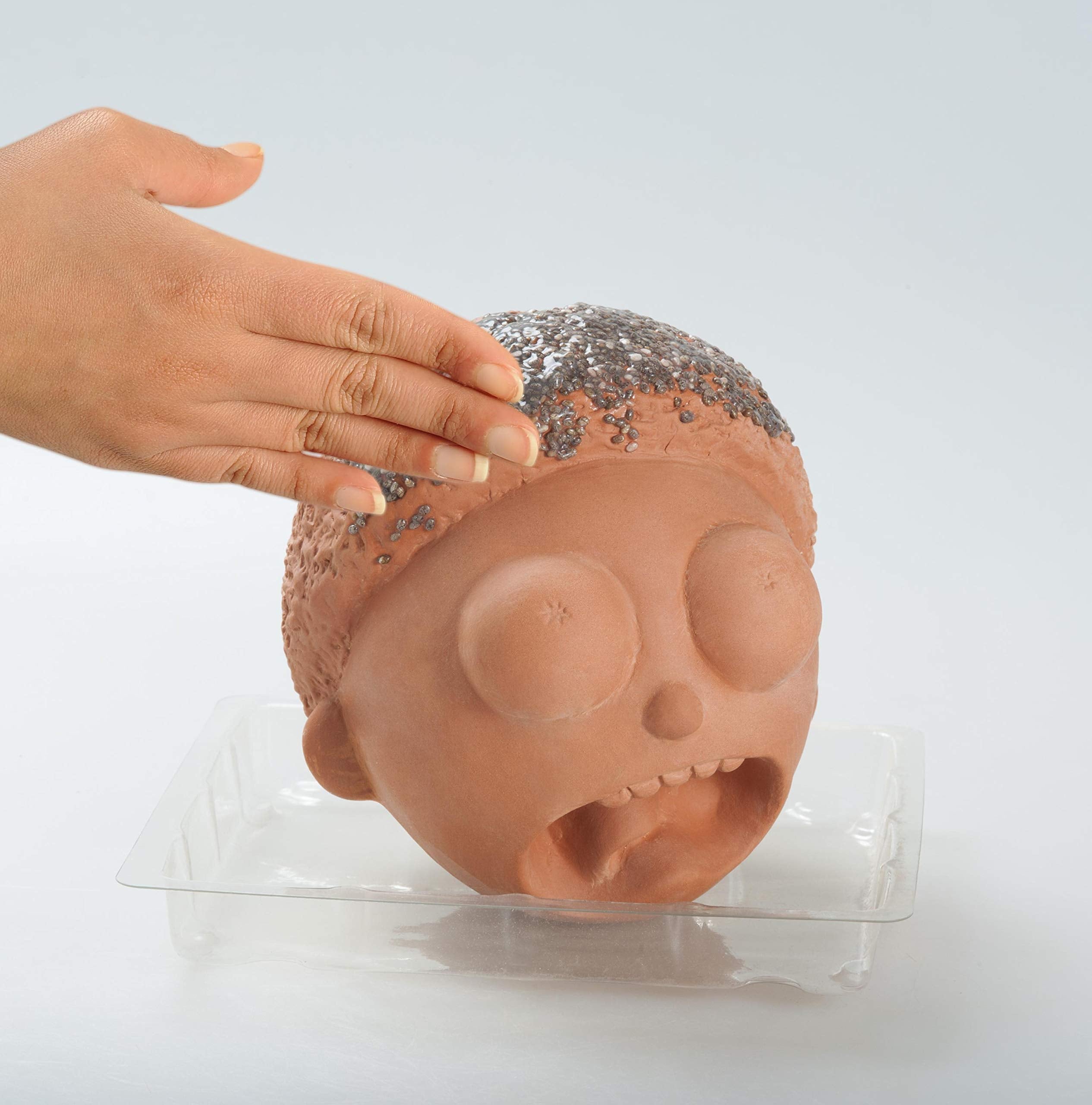 Chia Morty junto a objetos para escala Chia ideal como regalo
