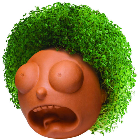 Chia Morty semillas Chia paquete mostrando contenido para tres siembras